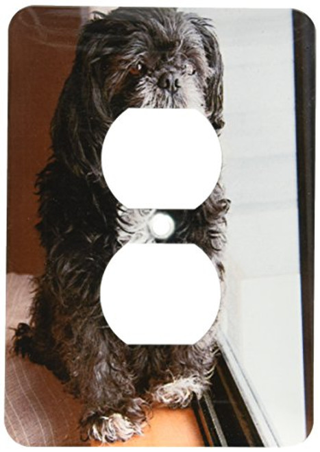 3dRose lsp_49490_6 Beautiful Furry Black And White Lhasa's Shiatsu Pet Dog On Top Of Couch Looking Out The Window Outlet Cover 3dRose lsp_49490_6 Beautiful Furry Black And White Lhasa's Shiatsu Pet Dog On Top Of Couch Looking Out The Window Outlet Cover