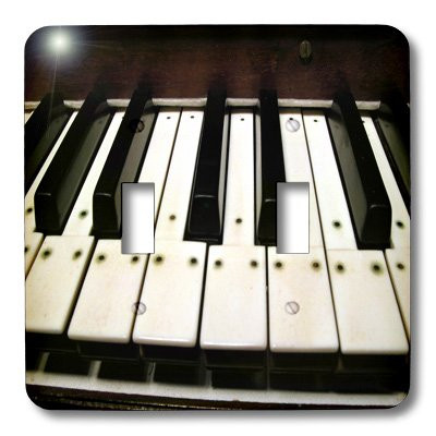3dRose LLC lsp_20682_2 Piano Keys Double Toggle Switch