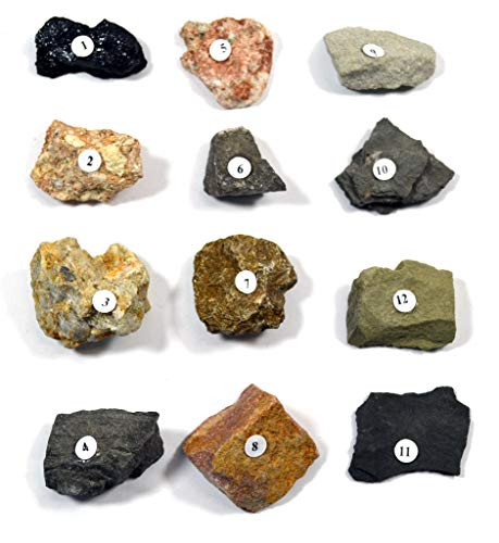 Eisco Sedimentary Rocks Kit - Contains 12 specimens Measuring Approx. 1 inch (3cm)