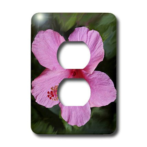 3dRose lsp_1253_6"Pink Hibiscus" 2 Plug Outlet Cover
