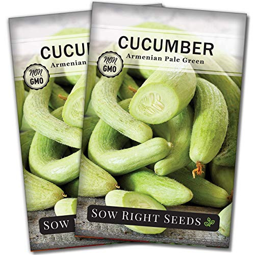 Sow Right Seeds - Armenian Pale Green Cucumber Seeds for Planting - Non-GMO Heirloom Seeds with Instructions to Plant and Grow a Home Vegetable Garden, Great Gardening Gift (2)