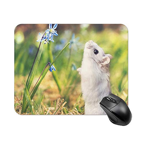 Hamster Pick Flowers Mouse Pad 11.8 X 9.8 in