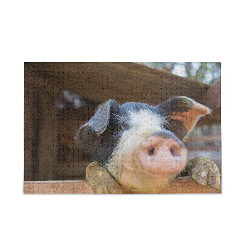 Jigsaw Puzzle Pig in The Pen Puzzle Game Artwork for Kids Teens Adults 500 Pieces