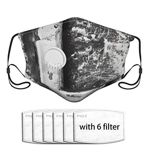 1 mask 6 Filters Face Mask,Washable Cloth,Cover for Dust Adults Typography Composite L Alphabet Letter Name Baroque Knights Iron Words Writing Design 1 mask 6 Filters Face Mask,Washable Cloth,Cover for Dust Adults Typography Composite L Alphabet Letter Name Baroque Knights Iron Words Writing Design