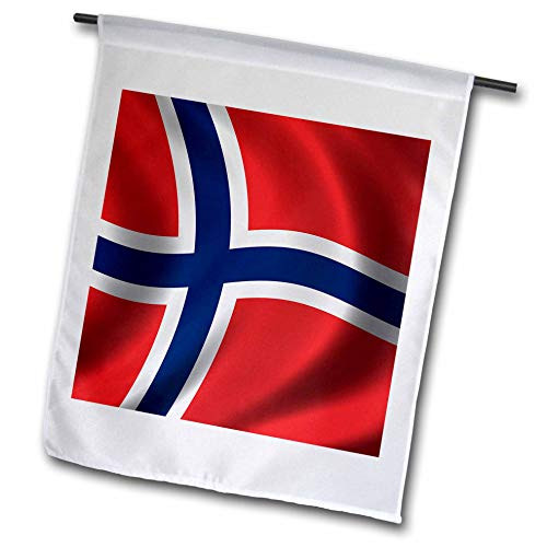 3dRose fl_155029_1 Flag of Bnorway Waving in The Wind Country National Norwegian Garden Flag, 12 by 18-Inch