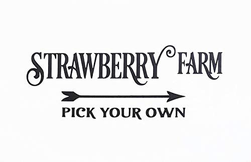 Strawberry Farm Vinyl Decal Strawberry DIY Sign Decal Farmhouse Decal Pick Your Own Farmhouse Decor Strawberry Decor