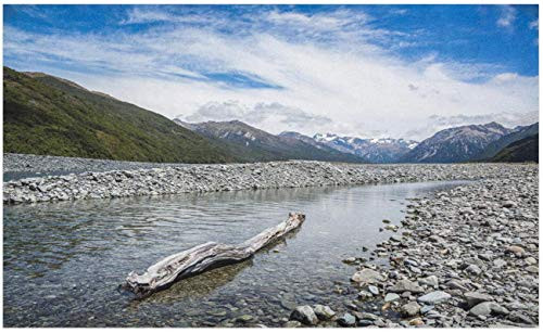OLIVOYO Driftwood Doormat, Dried Driftwood Lay Down in Waimakariri River Rocky Shallow, Decorative Polyester Floor Mat with Non-Skid Backing, Azure Blue Dark Green?40x60cm