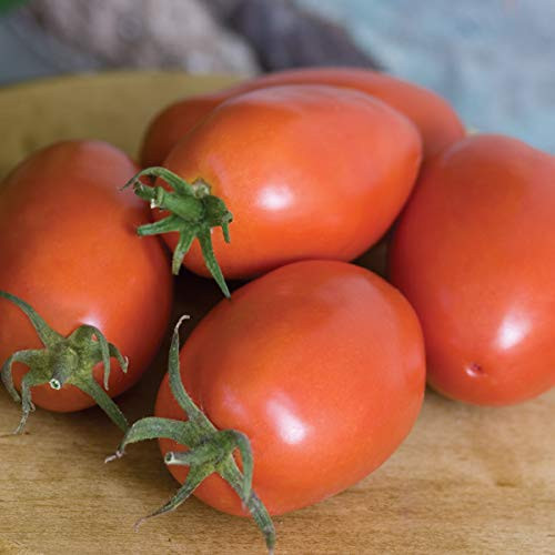 Burpee 'Amish Paste' Organic | Heirloom Red Paste Tomato | 25 Seeds