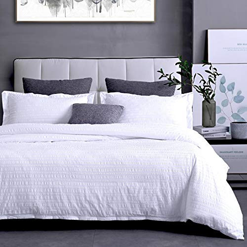 Queen Duvet Cover 3 Pieces with Zipper Closure Corner Ties Soft Breathable Microfiber Comforter Cover Bedding Set (1 Duvet Cover plus 2 Pillowcase) White