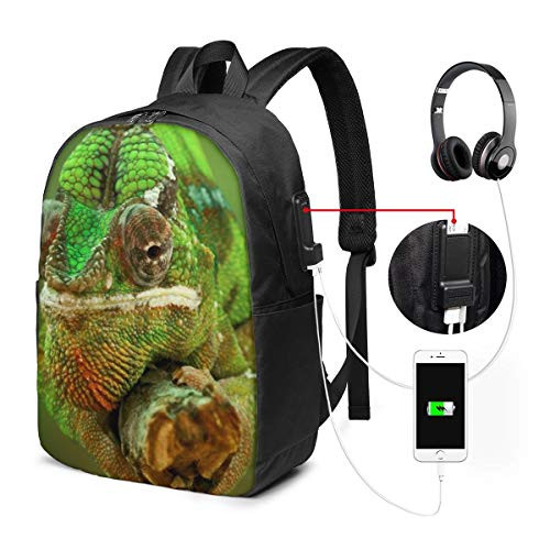 Lizard Chameleon College Laptop Backpack Bag with USB Charging Port Computer Business Backpacks for Women Men School Student Casual Hiking Travel Daypack