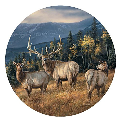 Thirstystone Stoneware Coaster Set, Elk