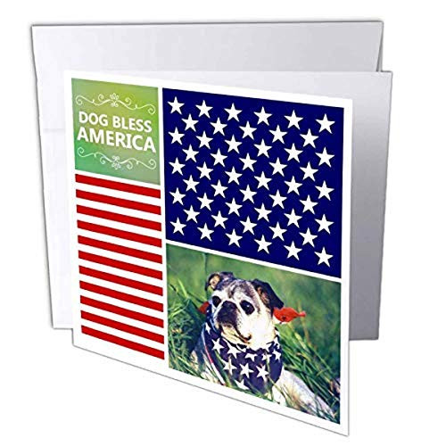 3dRose Funny Dog Bless America - Cute patriotic pug puppy American flag - USA stars and stripes - Greeting Cards, 6 x 6 inches, set of 6 (gc_123123_1) 3dRose Funny Dog Bless America - Cute patriotic pug puppy American flag - USA stars and stripes - Greeting Cards, 6 x 6 inches, set of 6 (gc_123123_1)