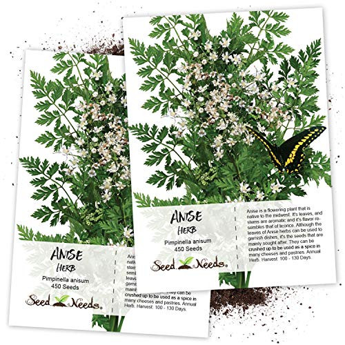 Seed Needs, Anise Herb (Pimpinella anisum) Twin Pack of 450 Seeds Each Non-GMO Seed Needs, Anise Herb (Pimpinella anisum) Twin Pack of 450 Seeds Each Non-GMO