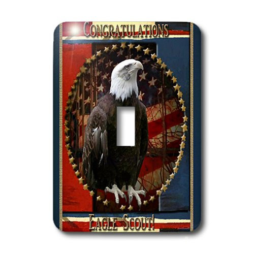 3dRose lsp_20808_1 Proud Eagle With Stars Congratulations Eagle Scout Single Toggle Switch