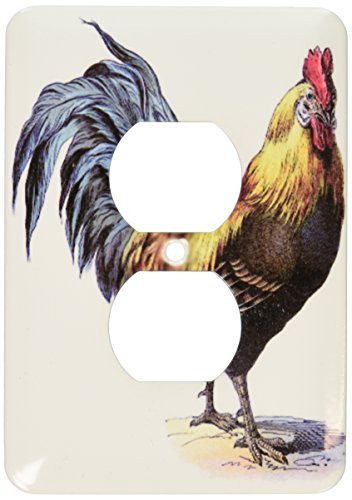 3dRose lsp_37259_6"Blue Yellow Red Victorian Rooster" 2 Plug Outlet Cover
