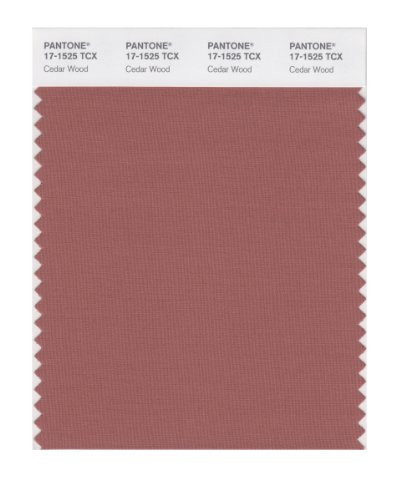 PANTONE Smart 17-1525X Color Swatch Card, Cedar Wood