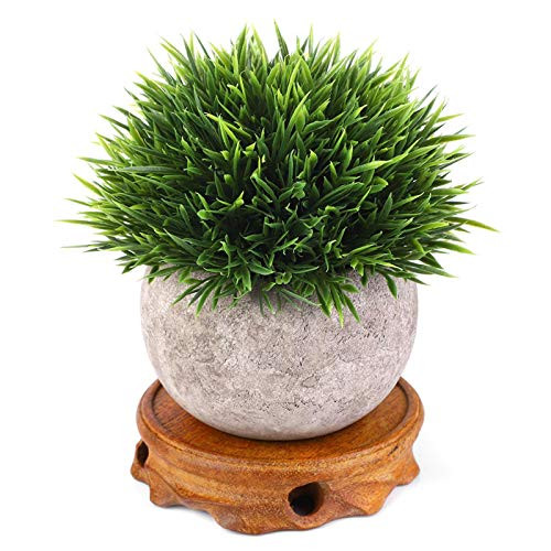 Nostalgic Style, Black Catalpa,Duckweed Mulberry, Round Base, Wood Round Base, Small Volume, for(Green Mulberry Inner Diameter 9 Height 2.5 cm)