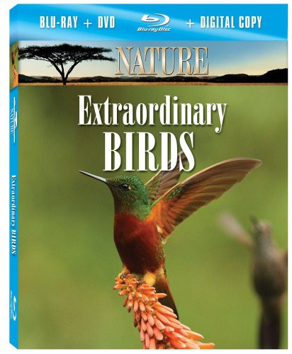 Nature: Extraordinary Birds  Blu-ray