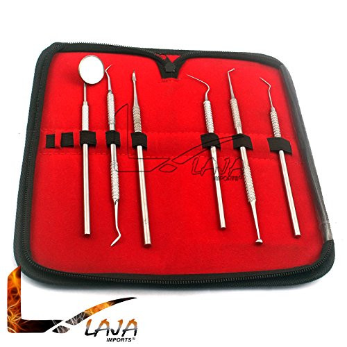 LAJA IMPORTS 6 PCS Dental Pick  and  Mirror Set with CASE Instrument KIT