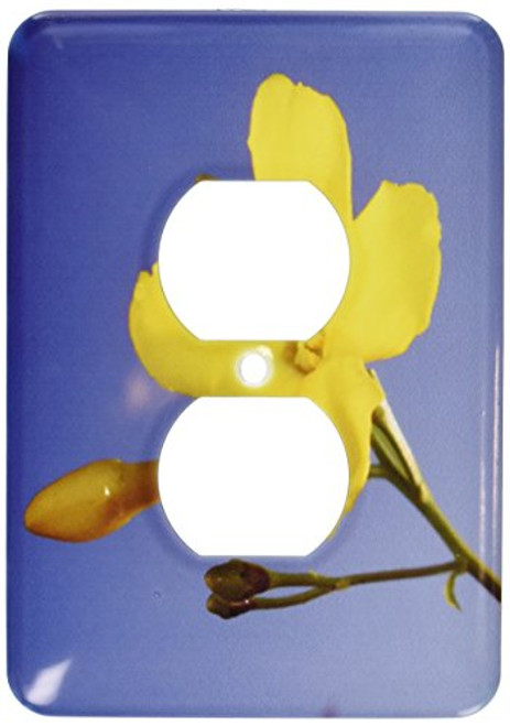 3dRose lsp_46879_6 Yellow Jessamine Carolina Jasmine, Evening Trumpetflower, Flower, Flowers, Gelsemium Sempervirens 2 Plug Outlet Cover 3dRose lsp_46879_6 Yellow Jessamine Carolina Jasmine, Evening Trumpetflower, Flower, Flowers, Gelsemium Sempervirens 2 Plug Outlet Cover