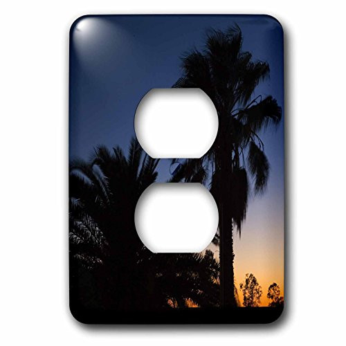 3dRose lsp_74085_6 Palm Trees, Sunset, Stuart Highway, Outback, Australia Plug Outlet Cover