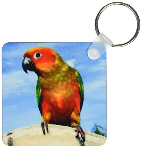 3dRose Sun Conure - Key Chains, 2.25 x 4.5 inches, set of 2 (kc_1011_1)