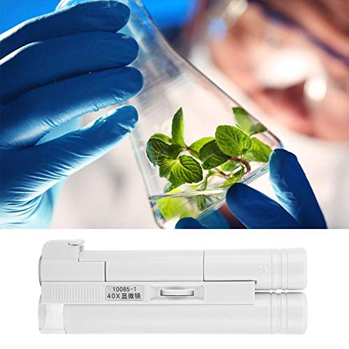?????? ?????? ?????? ??????40X Zoom Pocket-Sized LED Microscope Magnifier Micro Lens Universal for Mobile Phones