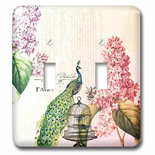 3dRose lsp_110312_2  Paris Peacock with Hydrangea Flowers Double Toggle Switch