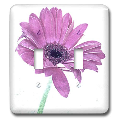 3dRose lsp_39232_2 Pink Gerbera Daisy Art-Nature-Flowers Double Toggle Switch