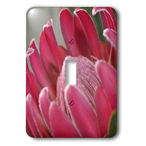 3dRose lsp_39395_1 Pink Protea Macro Flower Single Toggle Switch