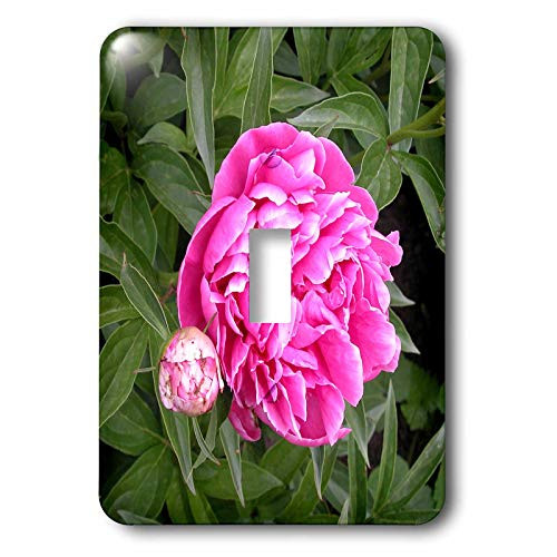 3dRose Lsp_22418_1 Hot Pink Peony Single Toggle Switch
