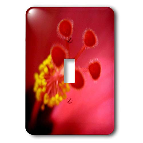 3dRose LLC lsp_14597_1 Inside The Pink Hibiscus 1 Single Toggle Switch