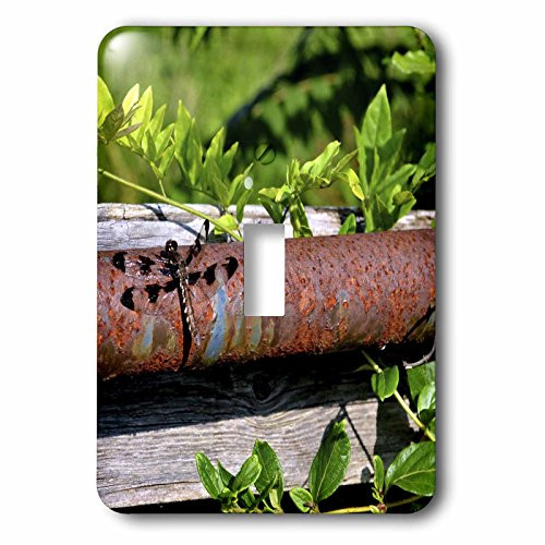 3dRose lsp_53656_1 Dragonfly On Fence Post Single Toggle Switch