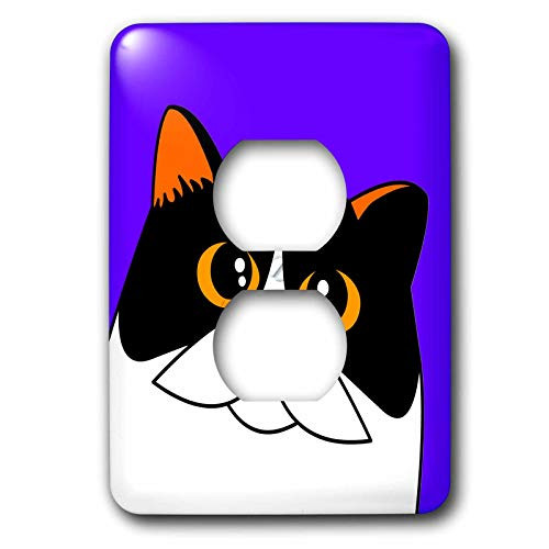 3dRose lsp_31213_6 Two Plug Outlet Cover with The Curious Cat Calico with Orange Eyes