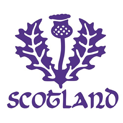 Scotland Thistle Vinyl Decal Sticker - Glasgow Football Purple Scotland Thistle Vinyl Decal Sticker - Glasgow Football Purple