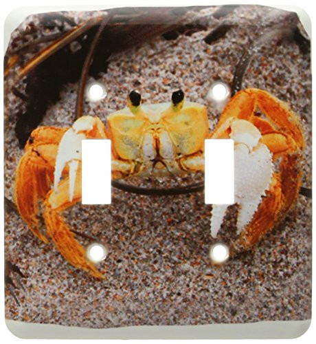 3dRose LLC lsp_156231_2 Fiddler Crab On Beach Colorized Orange Double Toggle Switch