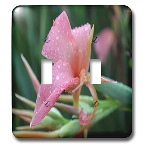 3dRose lsp_27285_2 Pink Cannas Pink Flowers Double Toggle Switch
