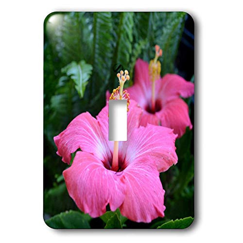 3dRose LLC lsp_22669_1 Pink hibiscus  Single Toggle Switch