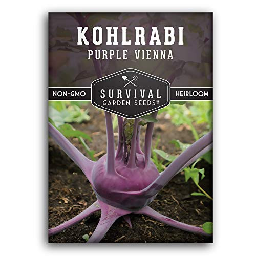 Survival Garden Seeds - Purple Vienna Kohlrabi Seed for Planting - Packet with Instructions to Plant and Grow Your Home Vegetable Garden - Non-GMO Heirloom Variety