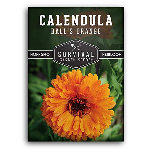 Survival Garden Seeds - Ball's Orange Calendula Seed for Planting - Packet with Instructions to Plant and Grow Your Home Vegetable Garden - Non-GMO Heirloom Variety