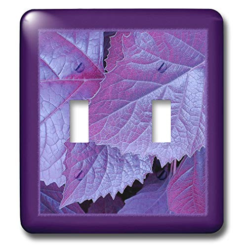 3dRose lsp_33441_2 pink metallic leaves with royal purple frame Toggle Switch