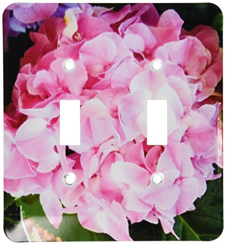 3dRose lsp_40836_2 Pink Hydrangea Double Toggle Switch