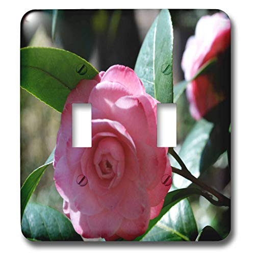 3dRose lsp_22511_2 Pink Japanese Camellia A Pink Flower Double Toggle Switch