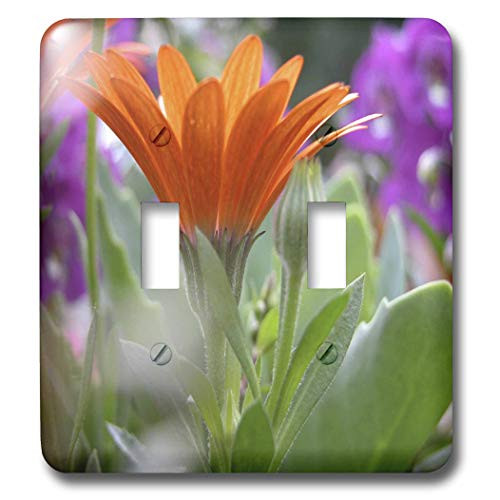 3dRose LLC lsp_11840_2 One Orange Gerber Daisy Double Toggle Switch 3dRose LLC lsp_11840_2 One Orange Gerber Daisy Double Toggle Switch