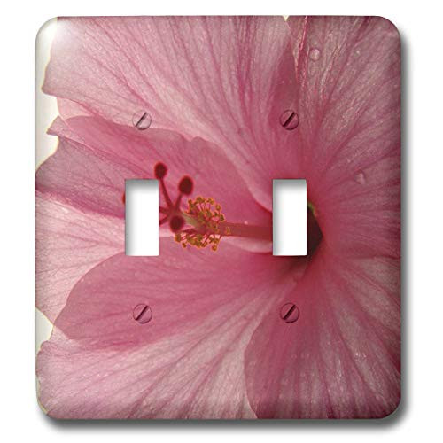 3dRose lsp_7826_2 Dewey Pink Hibiscus Double Toggle Switch  Multicolor