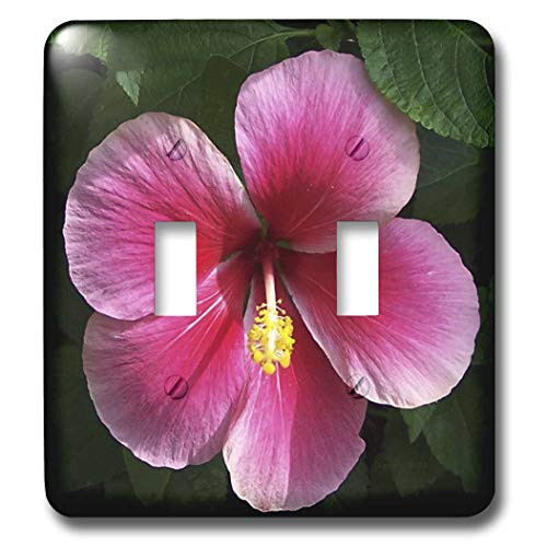 3dRose lsp_19107_2 Hibiscus Flower Shades Of Pink Double Toggle Switch