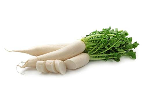 Japanese Minowase Daikon Radish Seeds  100 Heirloom Seeds Per Packet  Non GMO Seeds