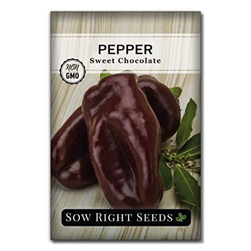 Sow Right Seeds - Sweet Chocolate Bell Pepper Seed for Planting  - Non-GMO Heirloom Packet with Instructions to Plant a Home Vegetable Garden