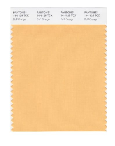 PANTONE Smart 14-1128X Color Swatch Card  Buff Orange