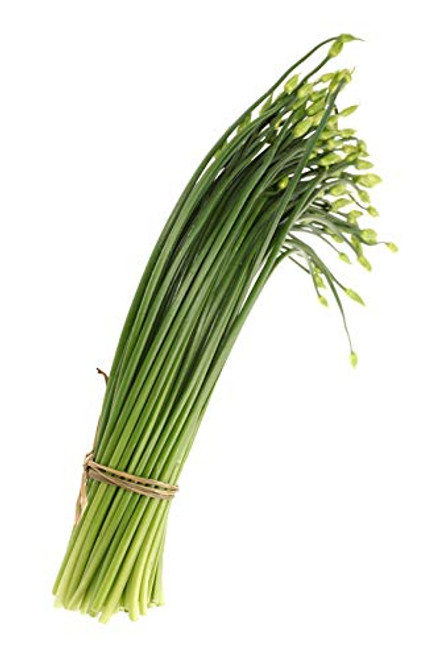 Garlic Chives Herb Seeds  200 Heirloom Seeds Per Packet  Non GMO Seeds